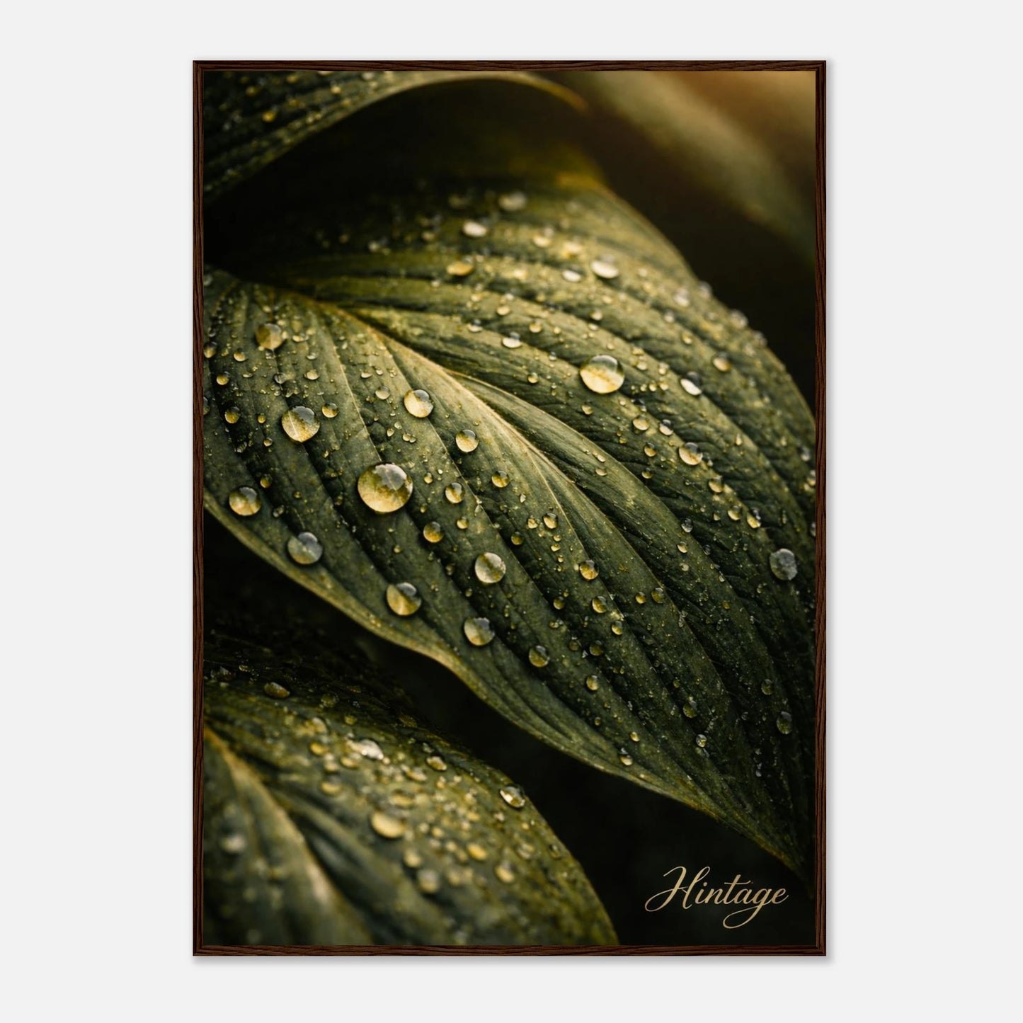 02d157ba-fc3f-4a3e-852a-dfd15f6bd528