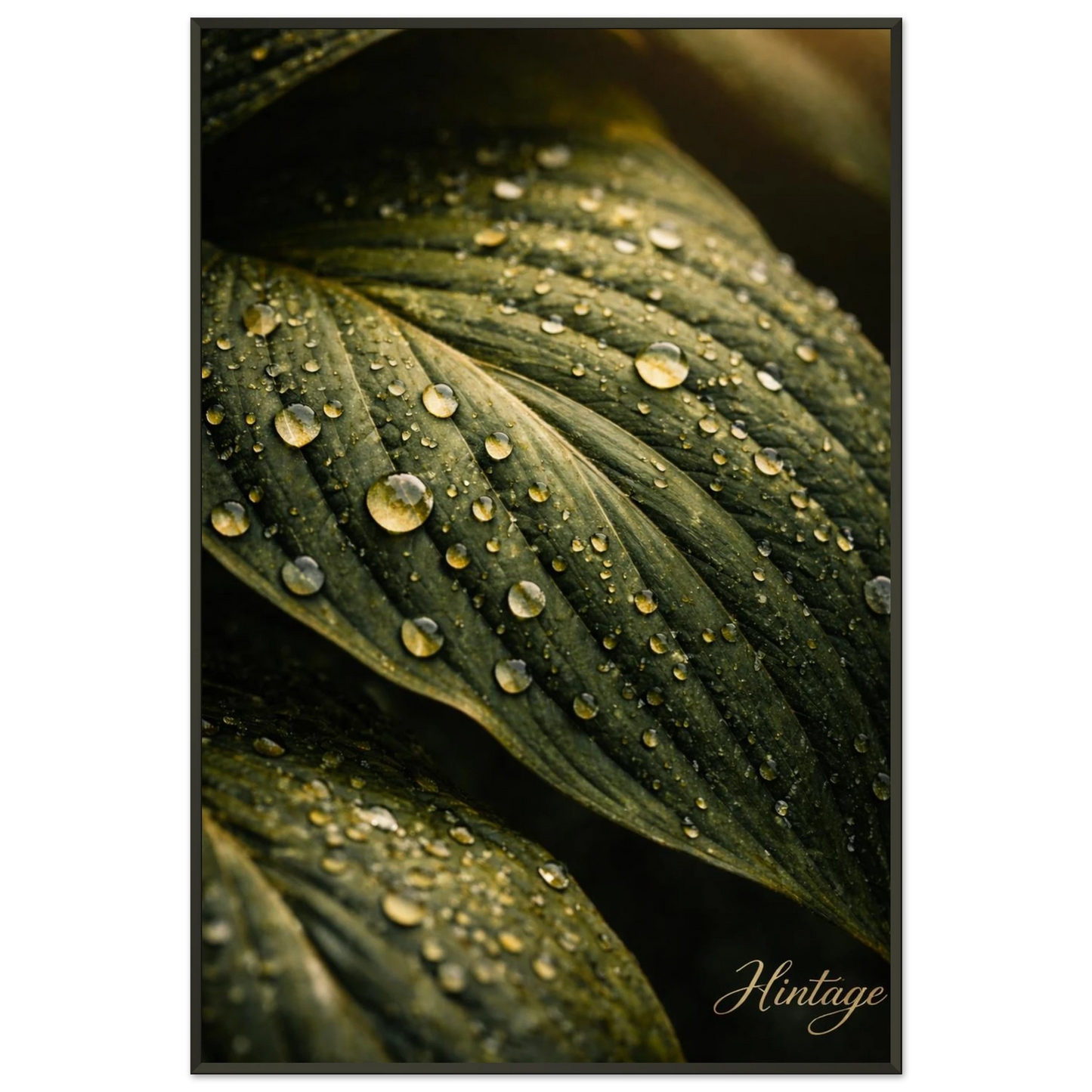 03a92922-1848-40f7-ab79-1127b454ed68