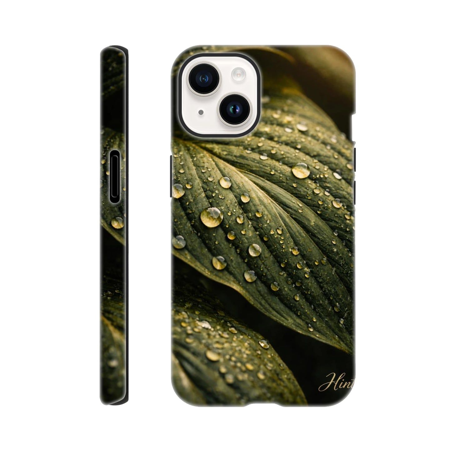 0b810e45-1e80-43af-83a5-8e28ea75bfbe