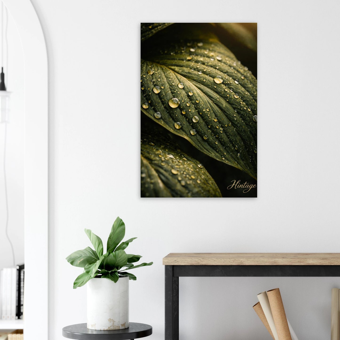 2233089b-1880-4558-9b1b-ed72a64ff4b3