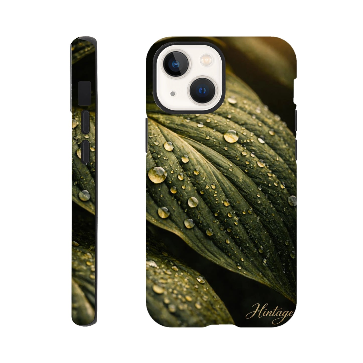 258a8080-e143-41e6-a5d9-5355e11092e0