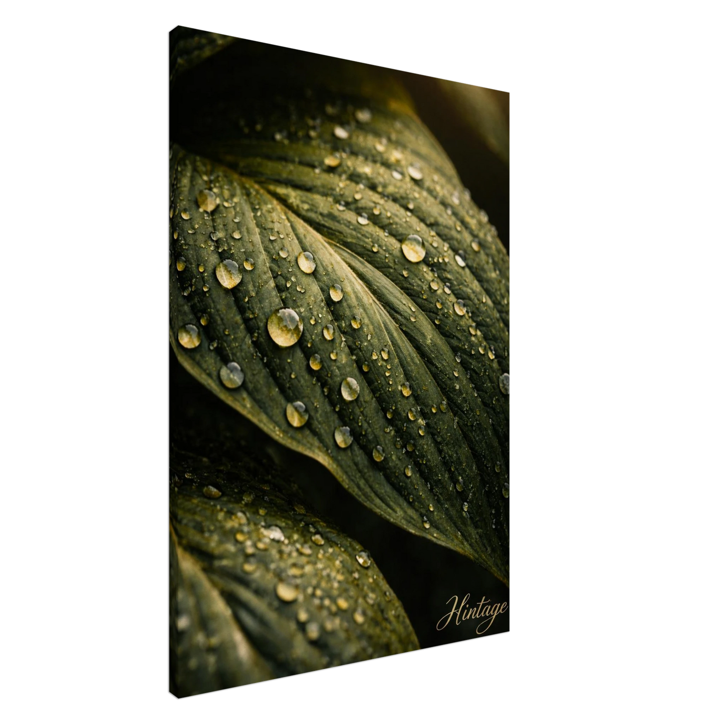 2bc89194-b4a3-478b-b679-ee25ee3f804e