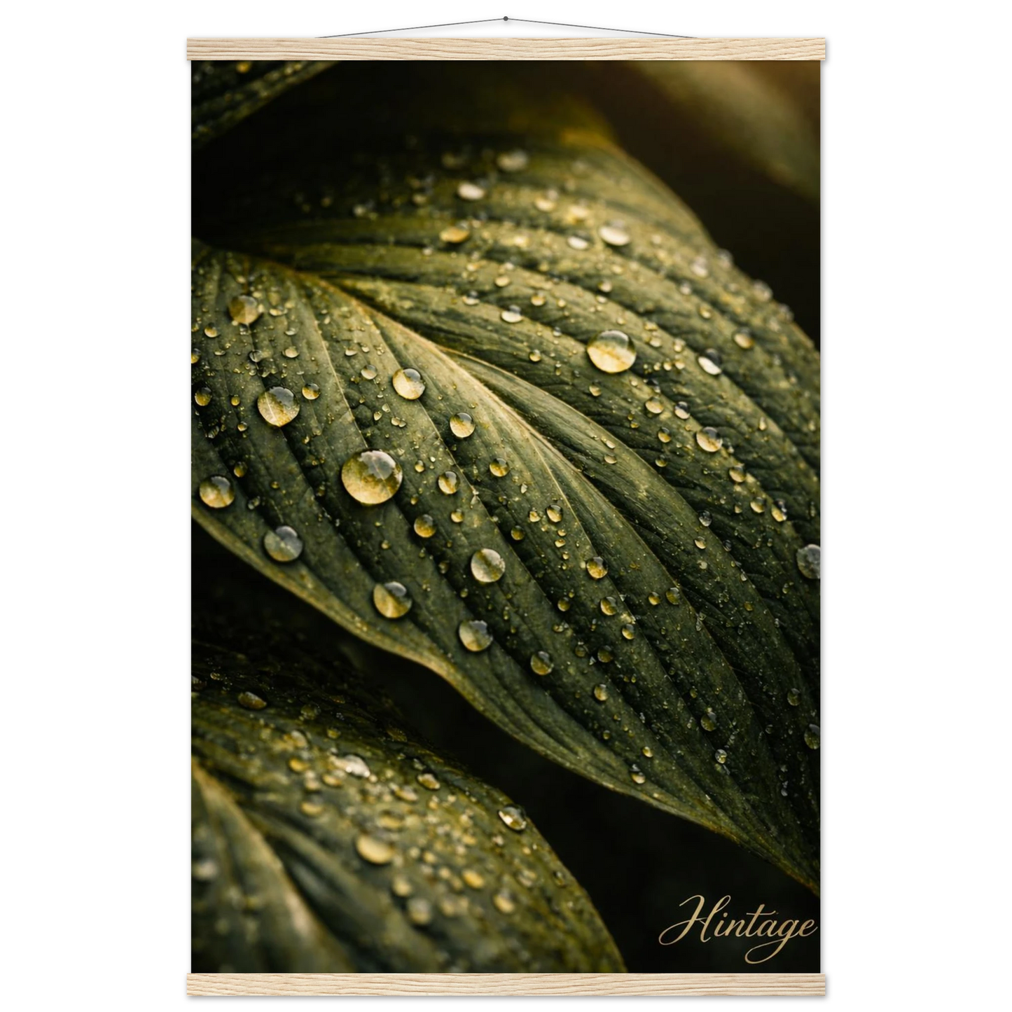 2ed97a08-13ab-49db-8b14-77e903f771dd