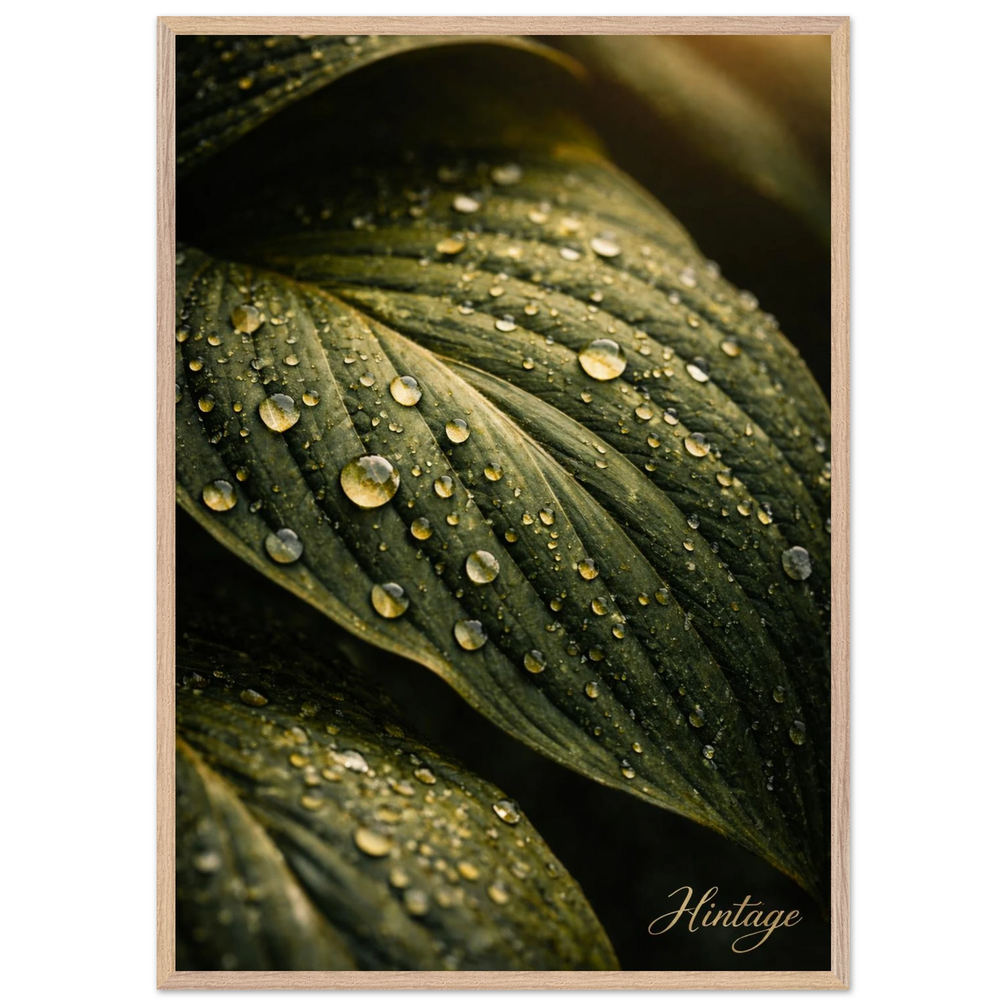 327d0315-63fb-4a54-bb64-00cb52a53e1f