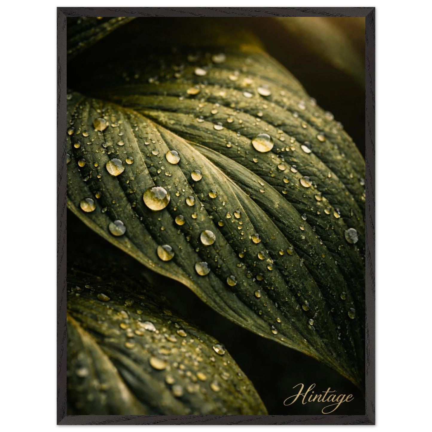 35d41e0f-02bc-493f-bd83-c4a7f39c62e2