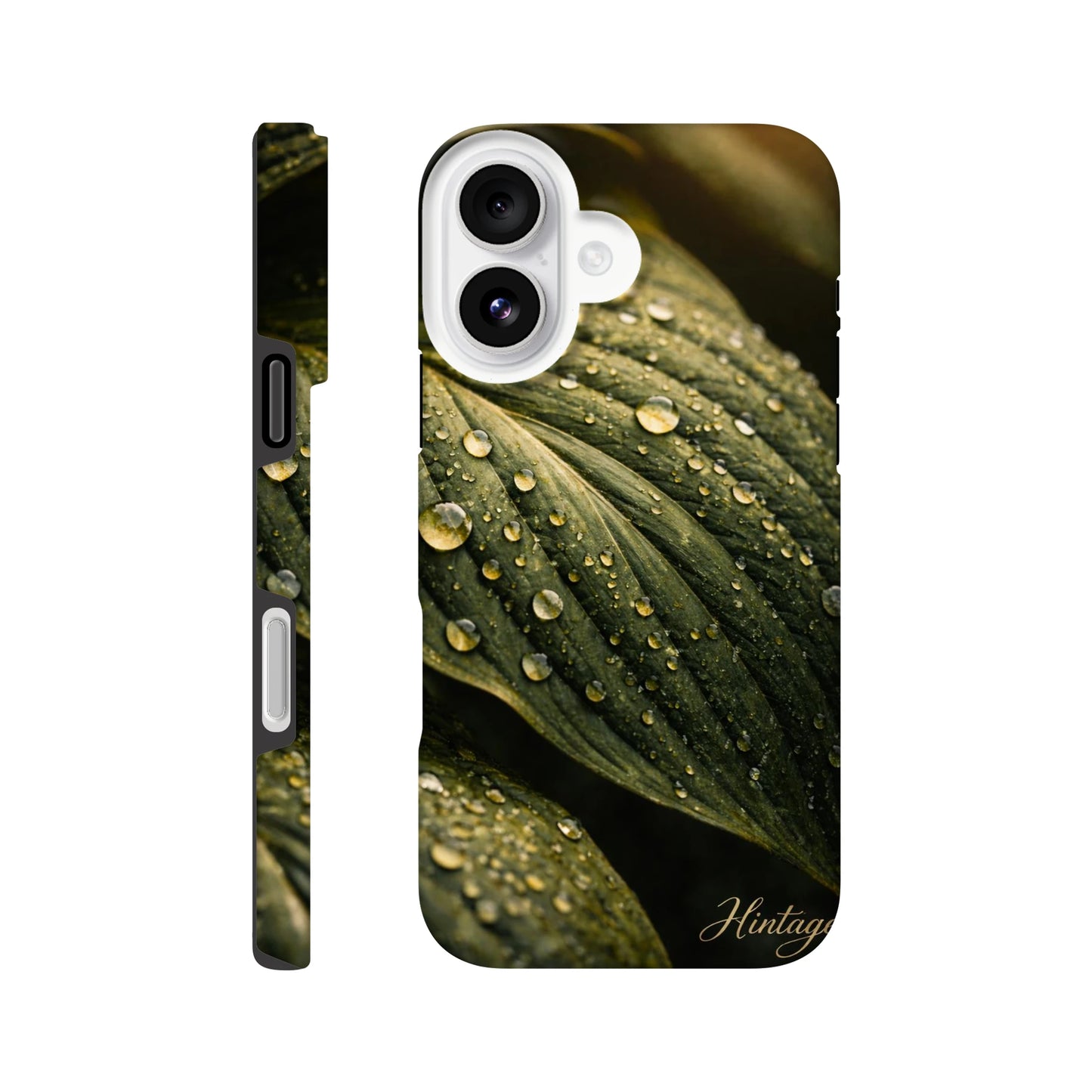 39f10aa2-d1d8-472c-a2fa-7602536cabd1