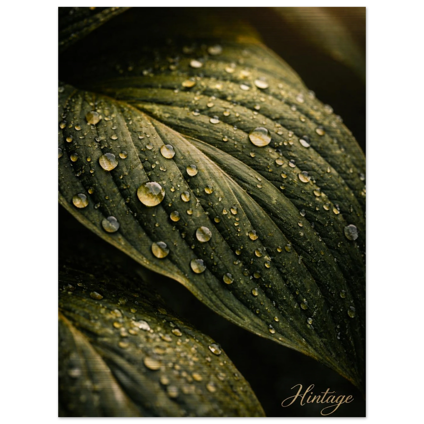 3a1255fd-f8d5-487b-9fc3-790aea5d9e1b