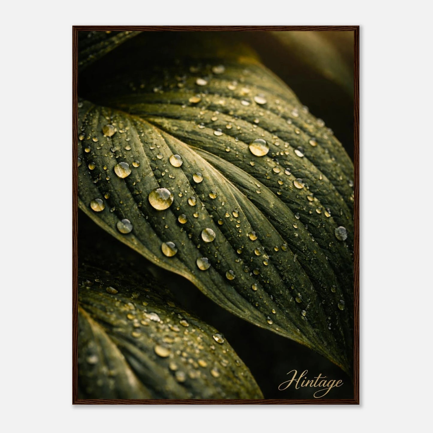 443cd8ee-ed55-4fc3-8550-d375f5956555