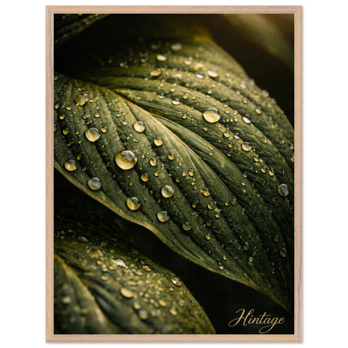 450c2022-e496-4df2-b962-041b3eec3431