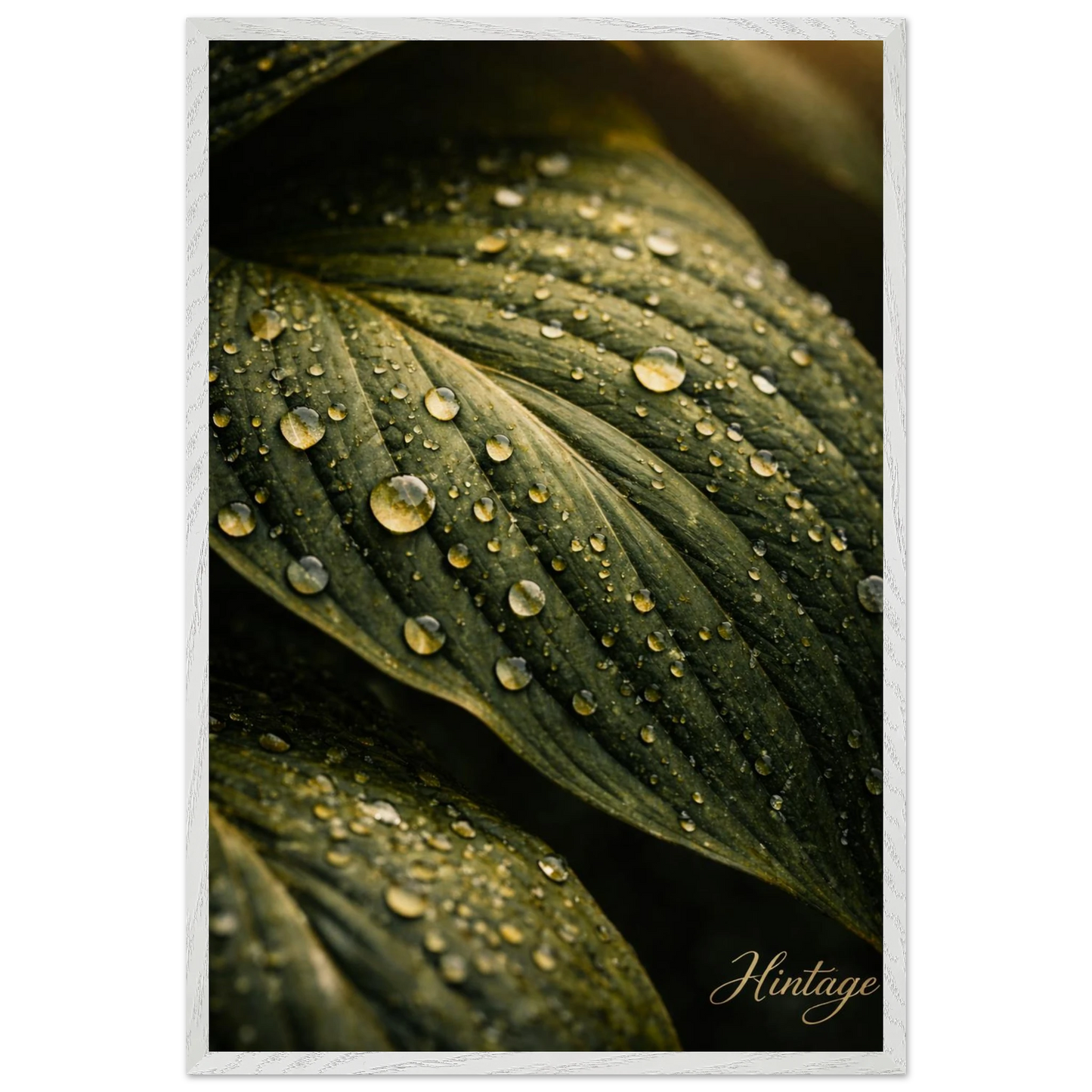 4a01a705-747c-46ba-9caf-7f0e8b0b32f5