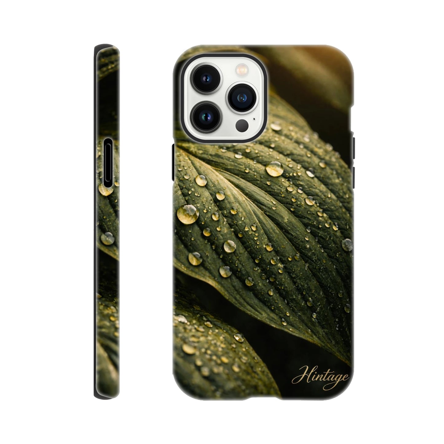 50dd512b-1cc4-4eab-b67e-f5c73b230532