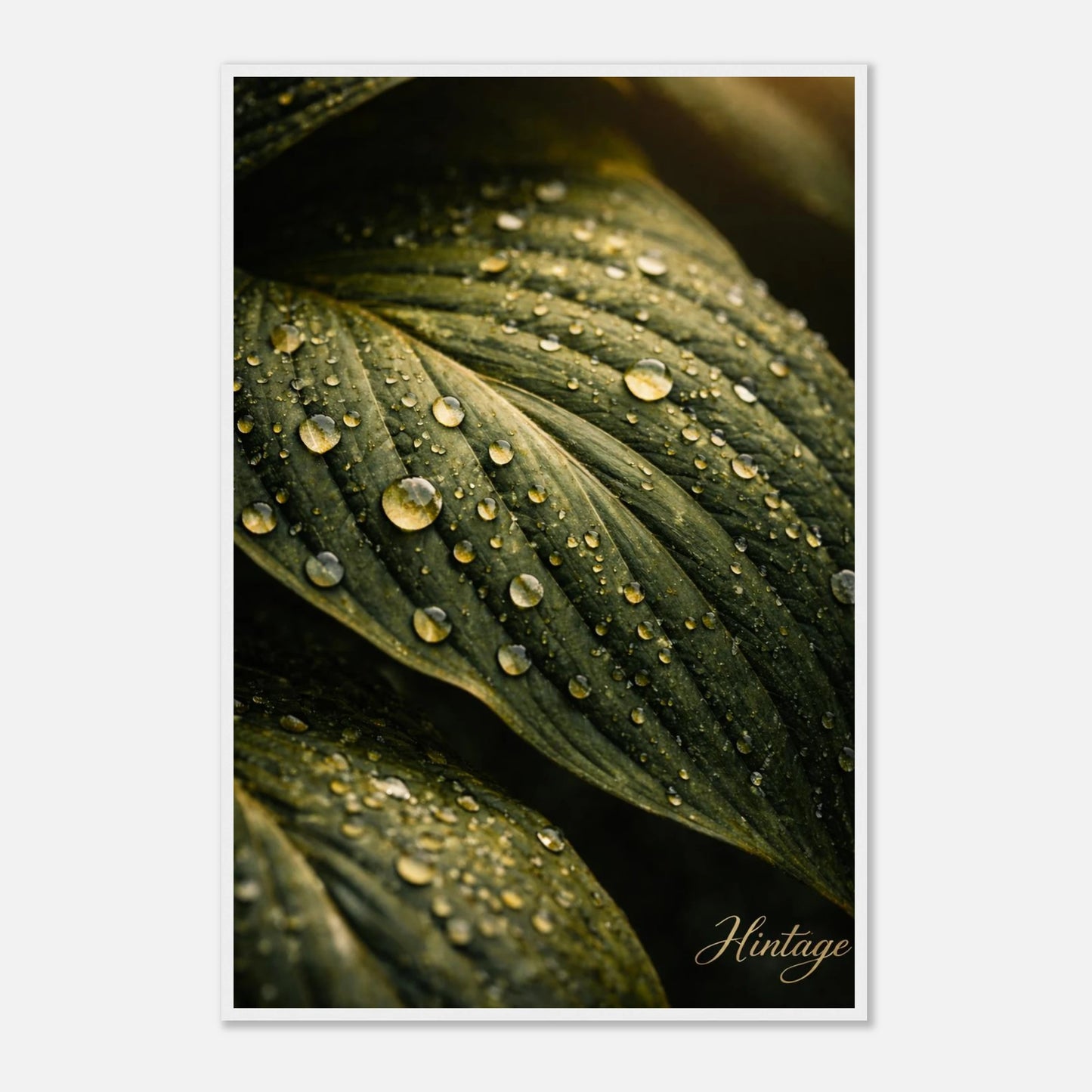 5620b1ce-2c9e-4fa5-96d6-dceb3472df5e