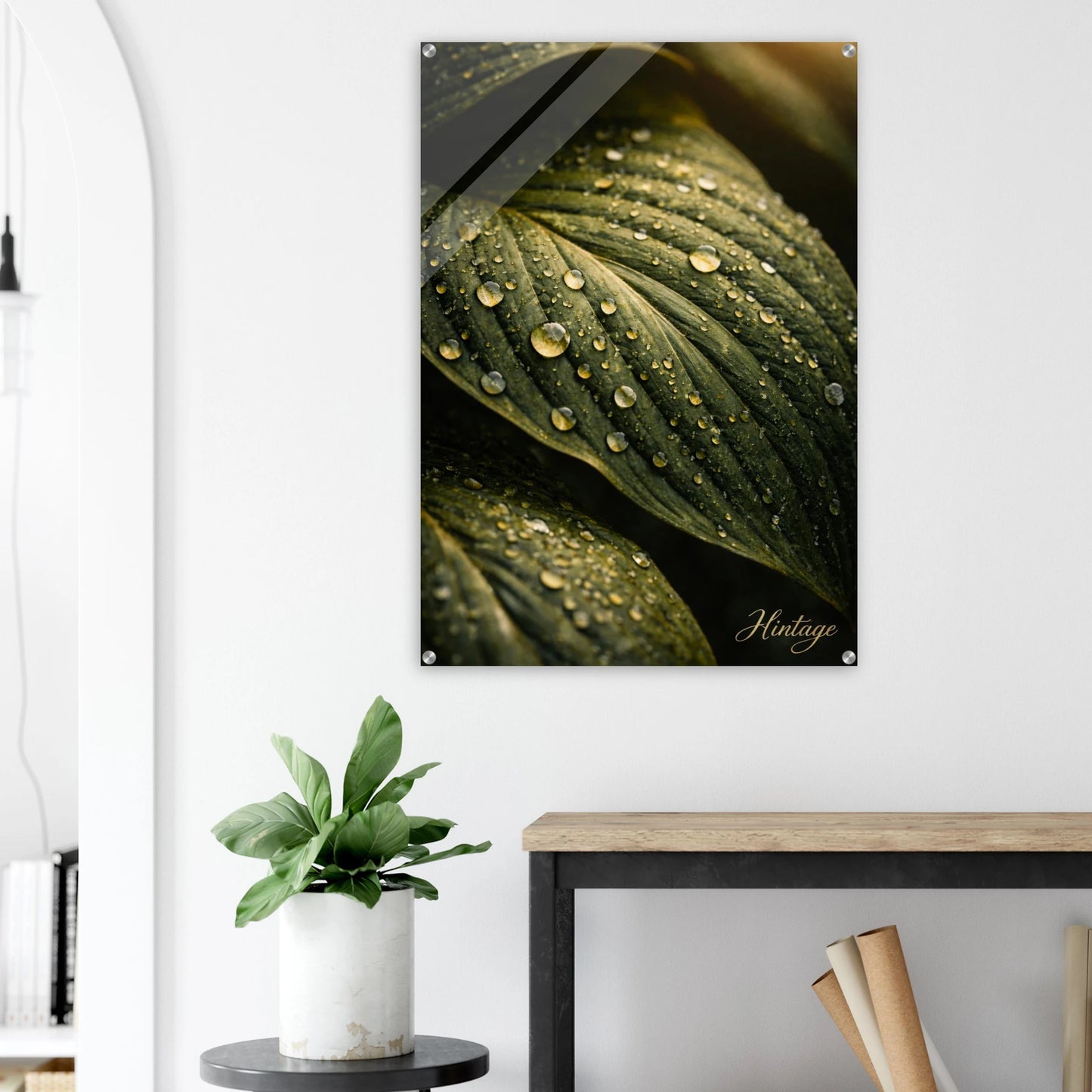 5c40263b-816d-4d56-a494-a33a97c42916