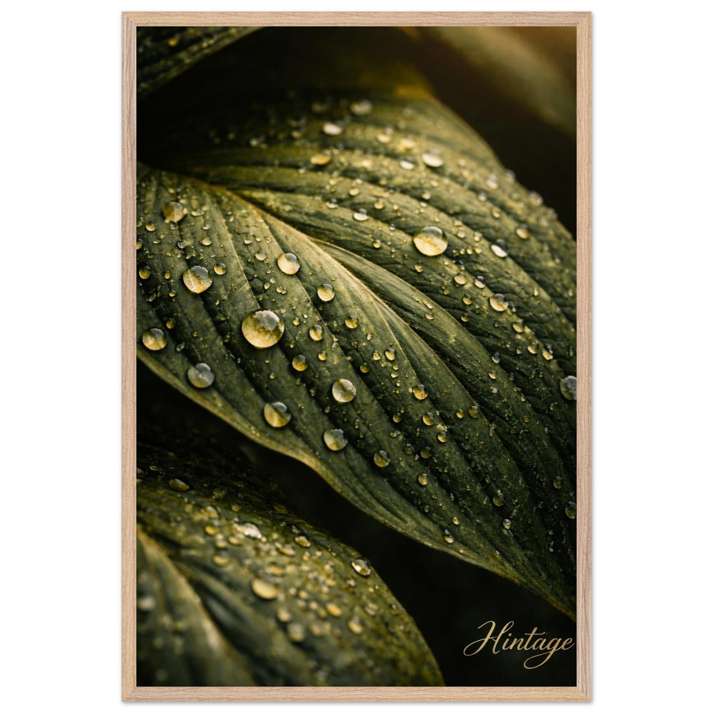 5fb61ee0-dcb4-4ad0-bb0a-e27f09ce63d0