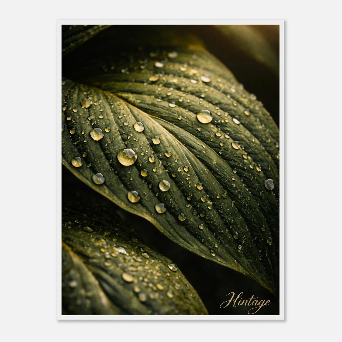 61c483f0-92a7-4968-8351-99185da2f5f9