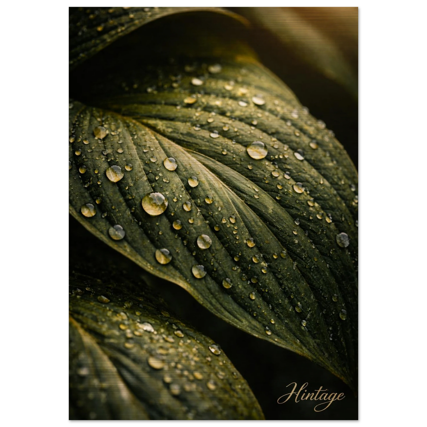 6298b763-5b94-42cc-a701-75f327f21491