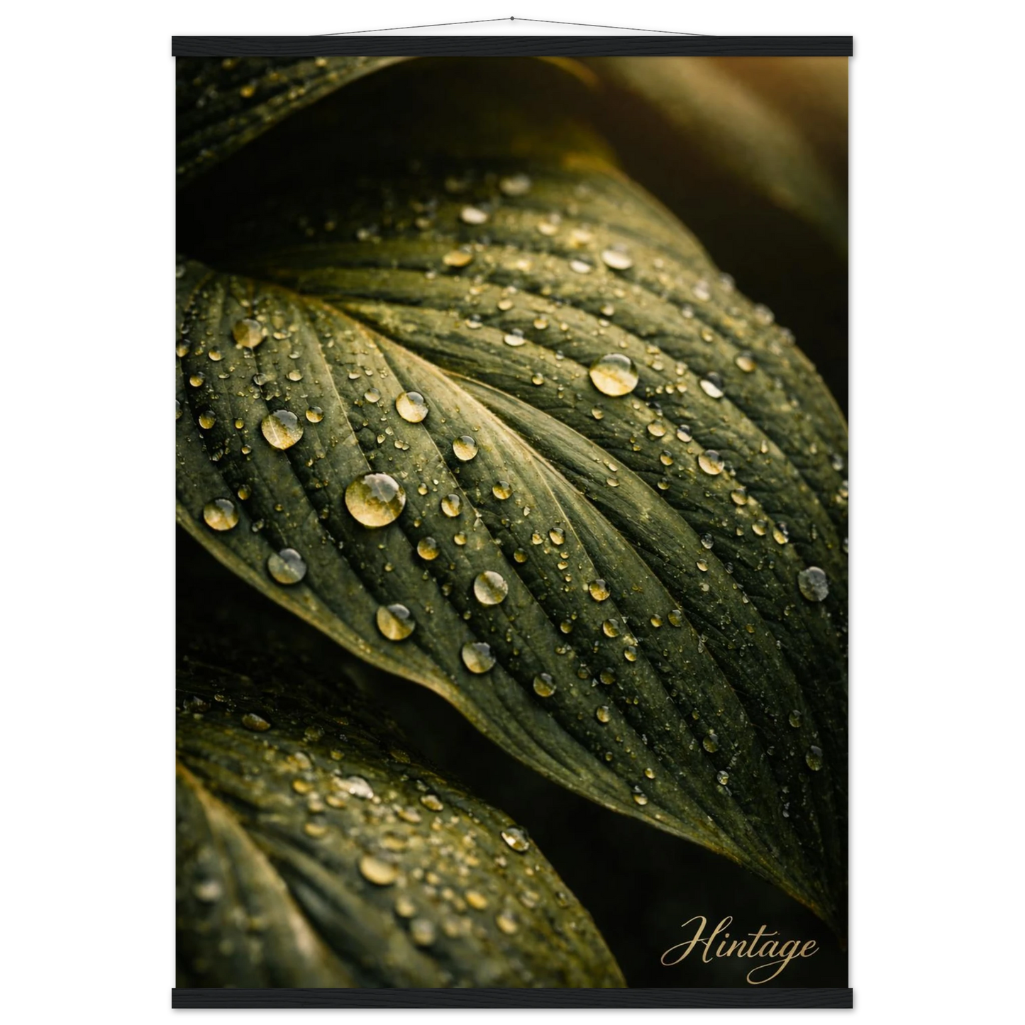 694df963-0375-448d-a3a7-0b6d43d74a23