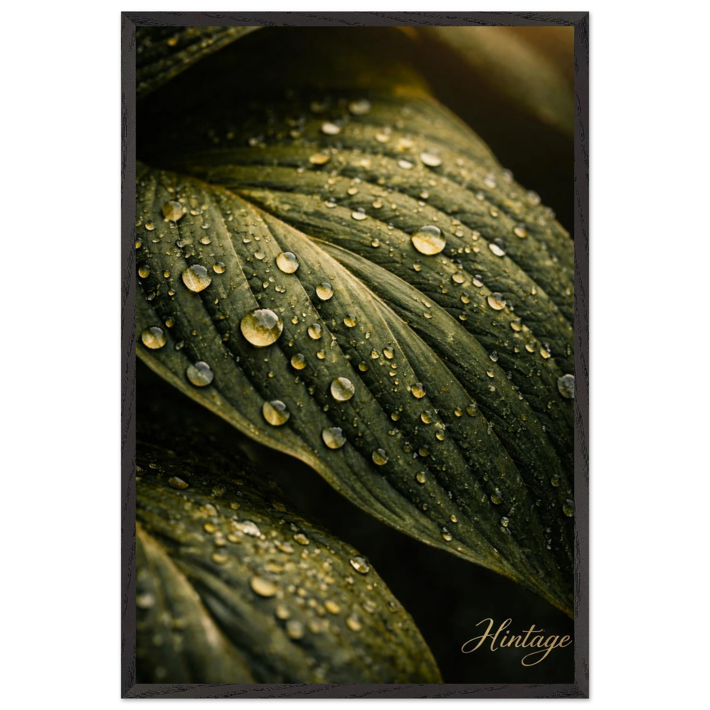 6bf6f8a2-2011-4571-86c7-3d73c295ed94