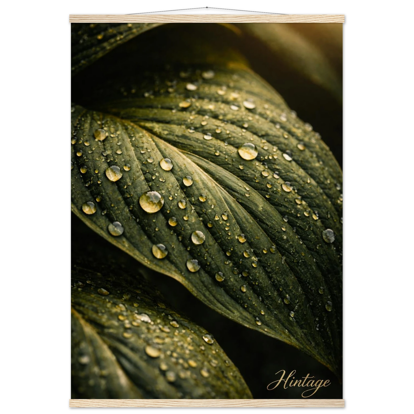 6c2d500e-7e12-4bf9-92bb-2686e008f01c