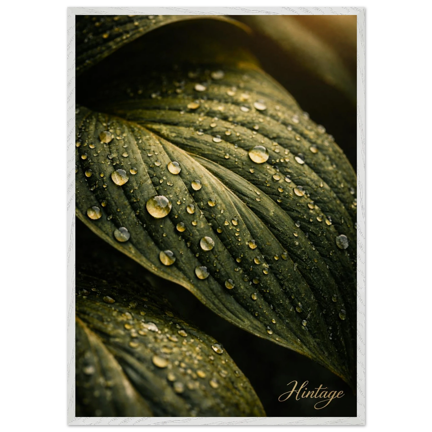 7114677a-fd03-4dde-981f-f237c2f24007