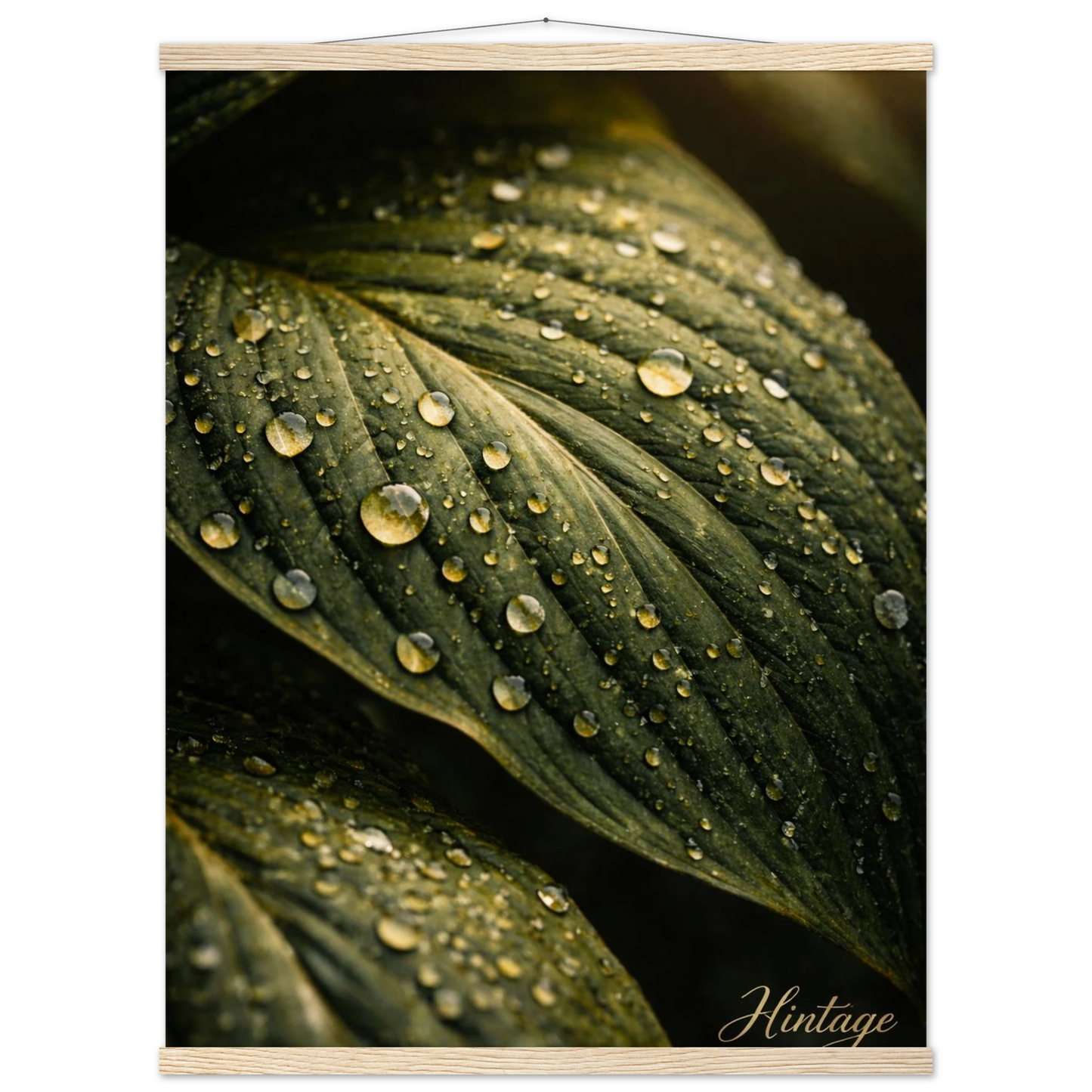 76c3b802-5d94-4110-9996-512a6c9e9732