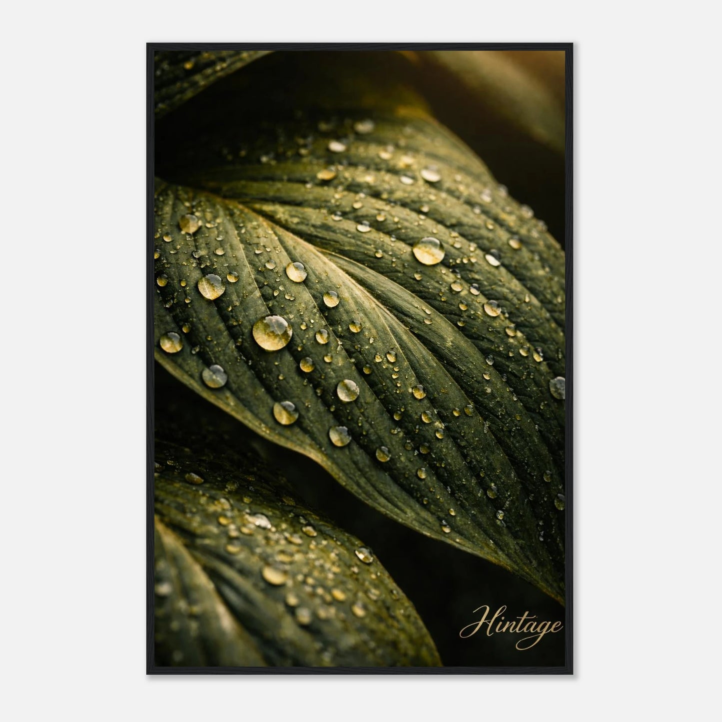 7d0ba4e1-b02f-4890-b3bf-3c0501e46dc6