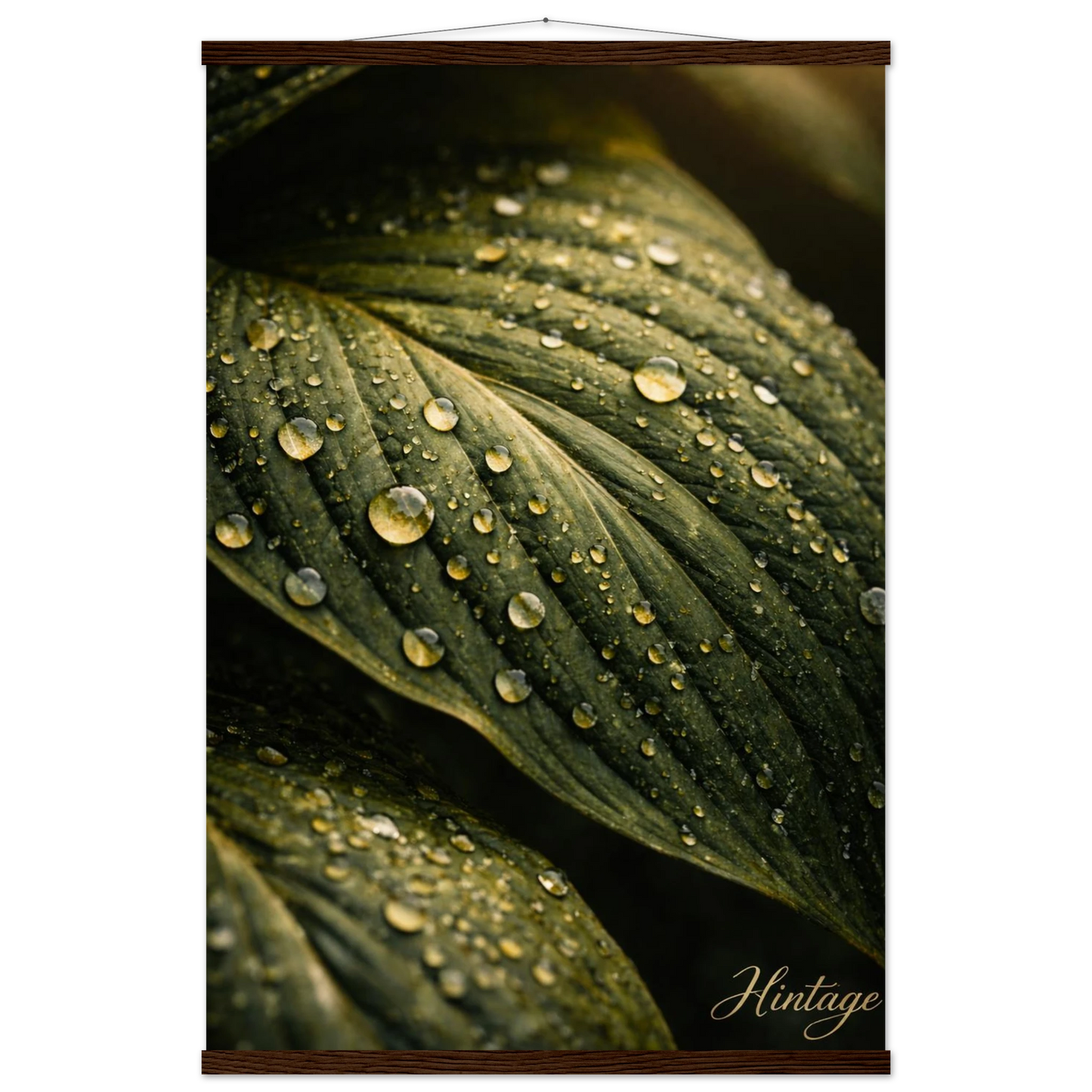 81184f8c-33a8-4ef7-92d6-02d44e9b0c3d