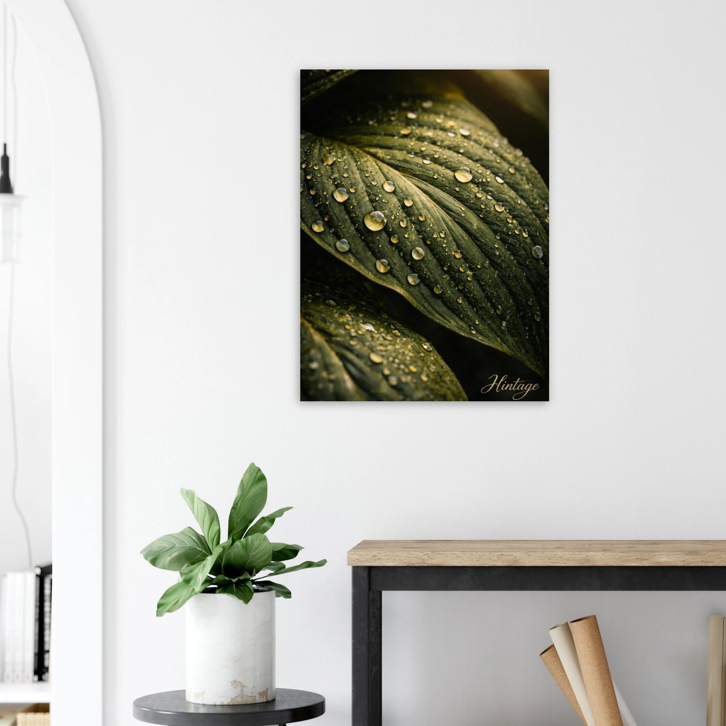 8b860359-cee7-4a4b-9300-ed63081067d7