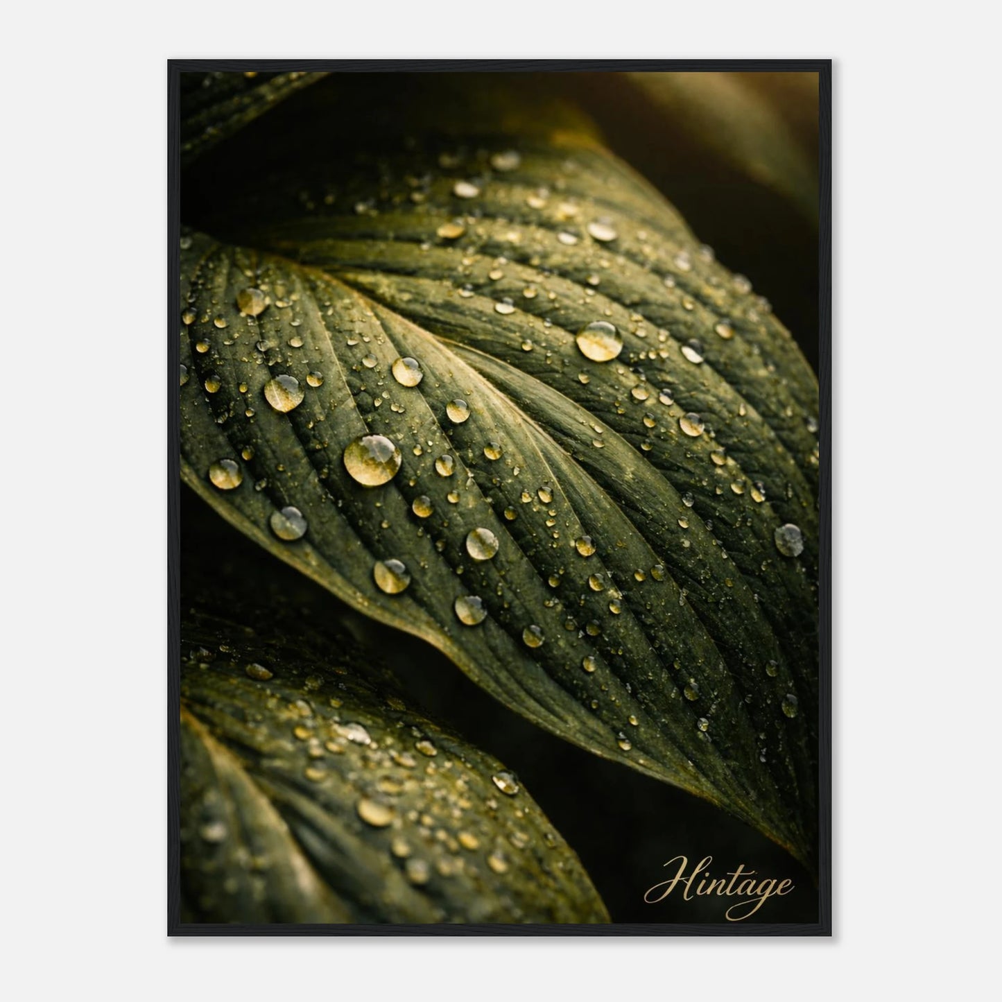 91525294-7293-4cb5-8a74-375f09daa8ab