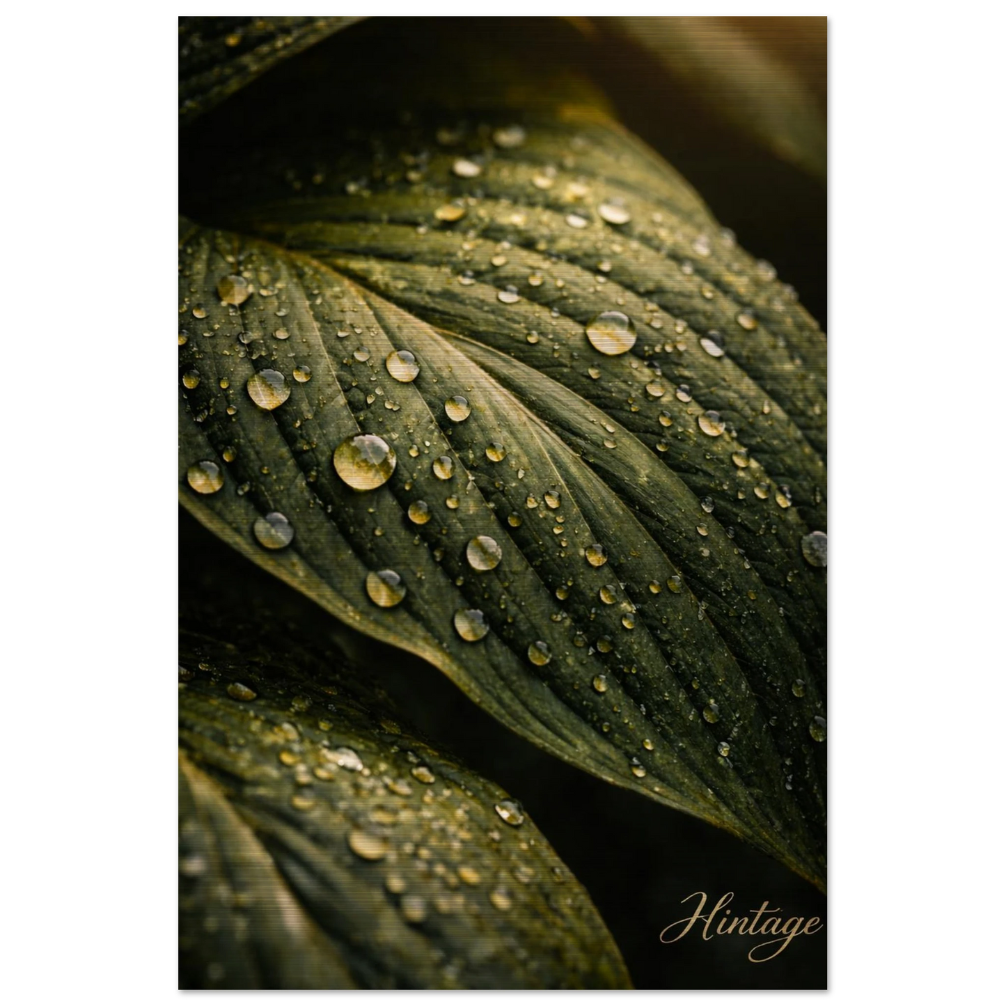 95f28bcf-c11b-42eb-b431-df208c3ddf7e