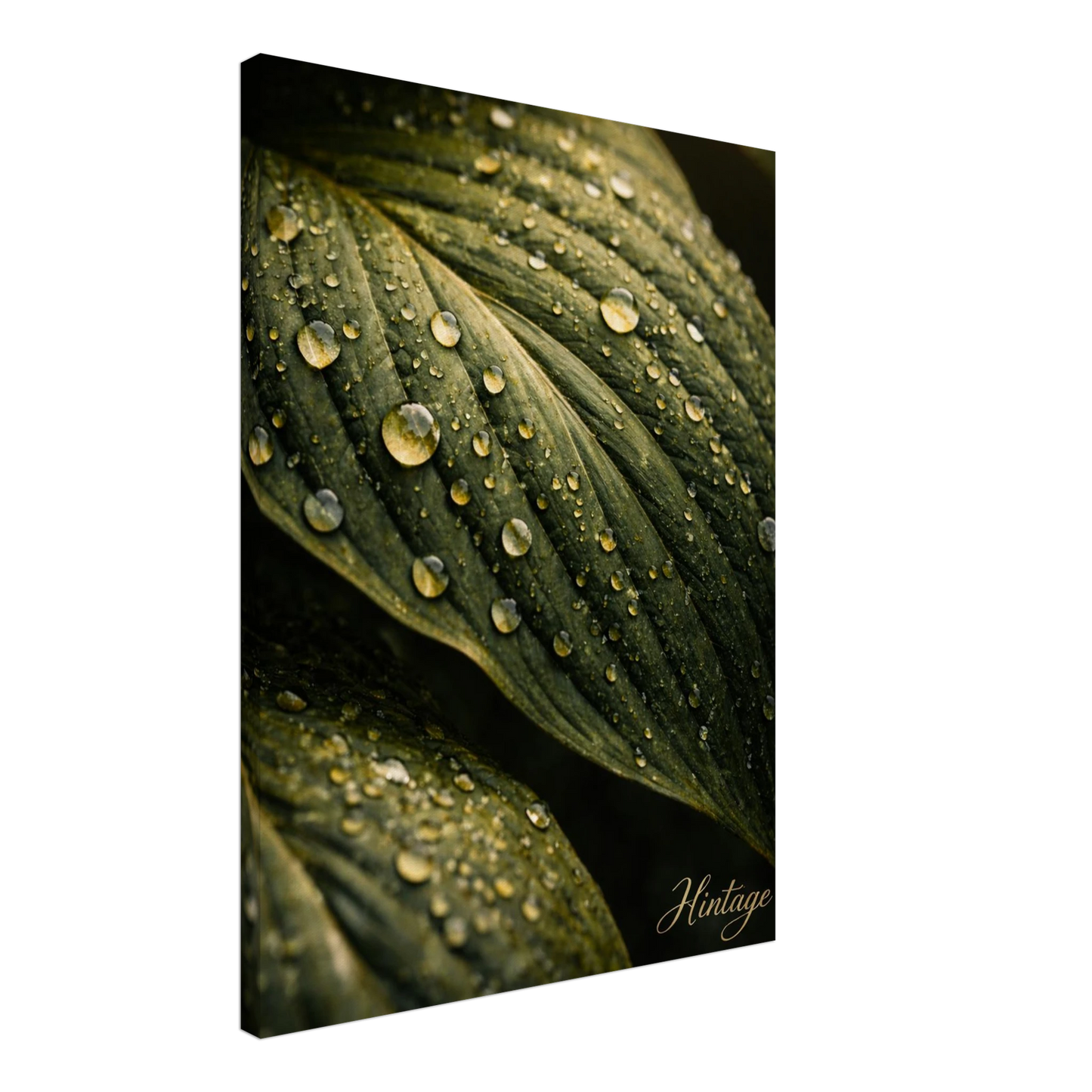 97c61453-26cc-4c23-bf45-546c6325b926