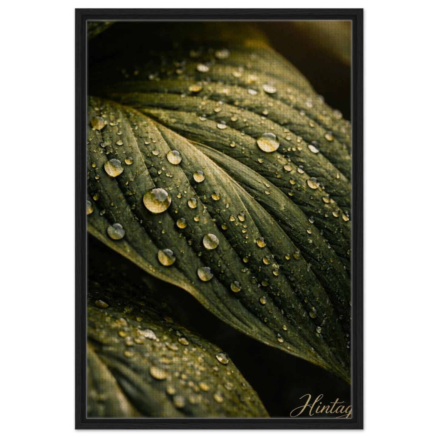 994510d4-714a-443a-b04f-94eb57426a3e