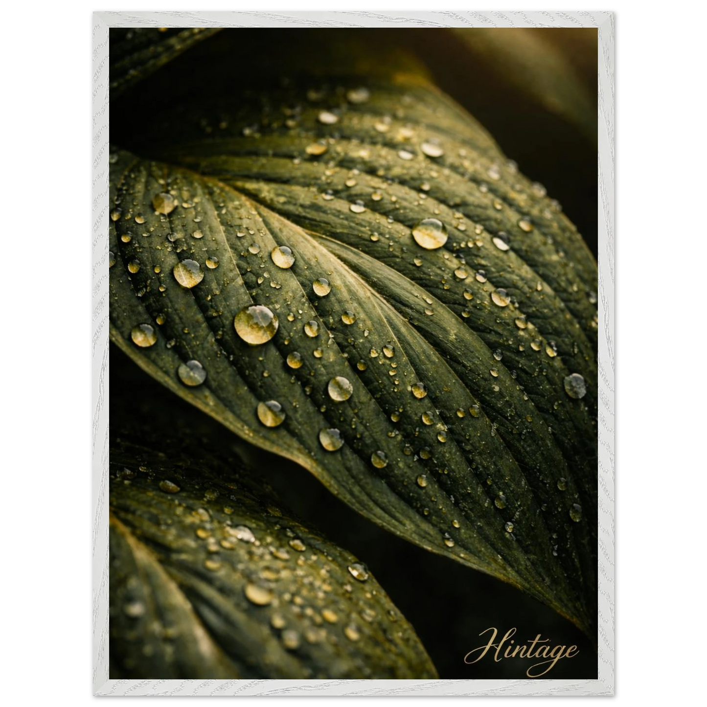 99830419-e184-4d84-939b-3dff4a59335e