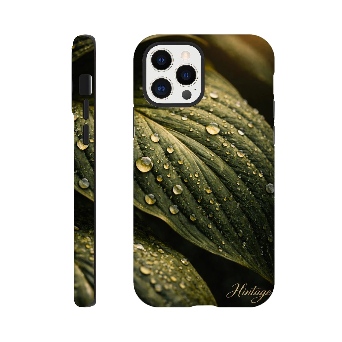 a06f507a-181c-482c-abbc-36730de4d4e6