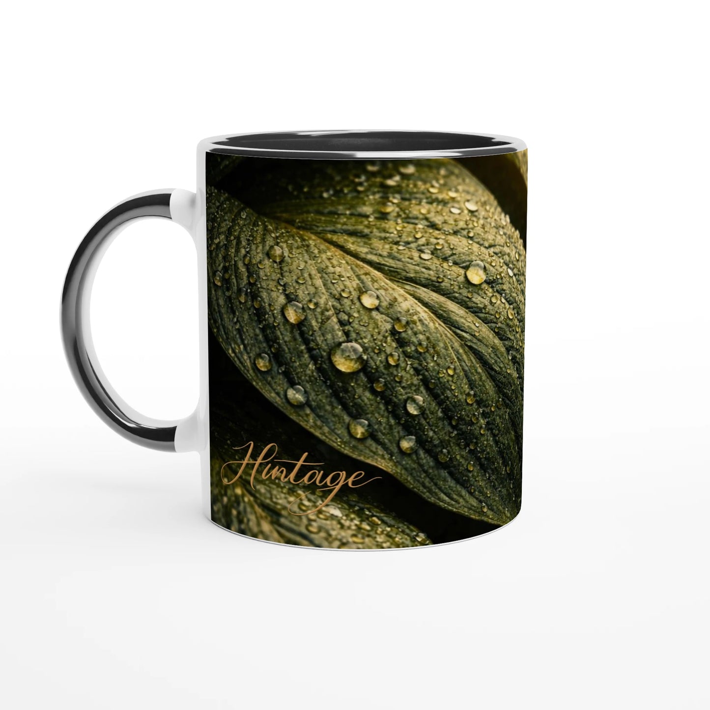 a2b7111c-f733-41f9-8f33-fb063ff4ca1c