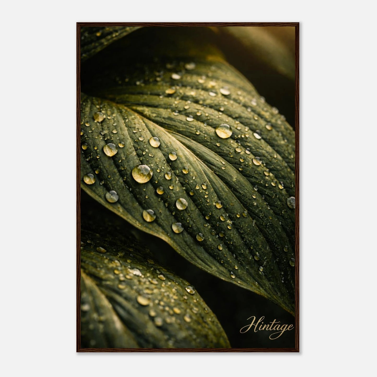 a9548787-d4fa-4493-8653-34455e1f2999