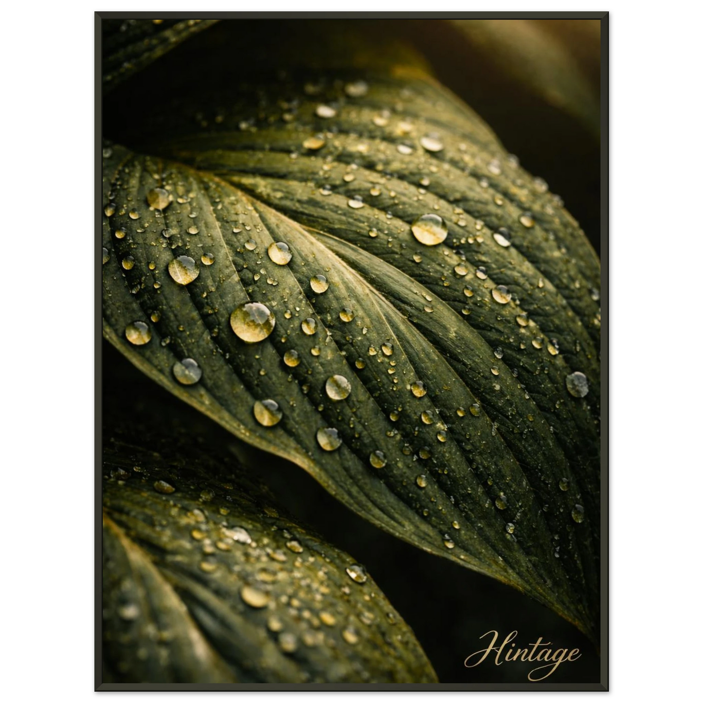 acdc8077-fbec-46b6-8cca-5ad850c47fb6