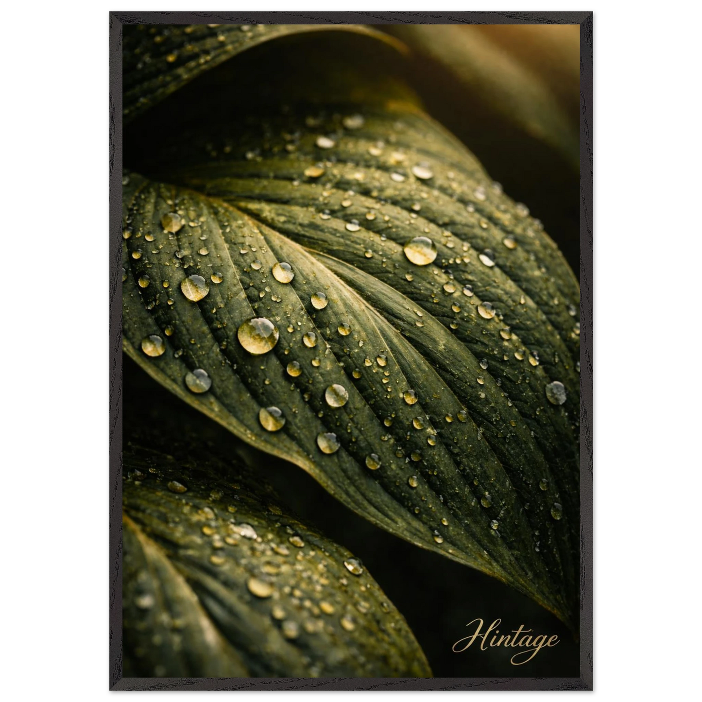 b280fc3d-2f29-414b-a4c1-f379084d4de7