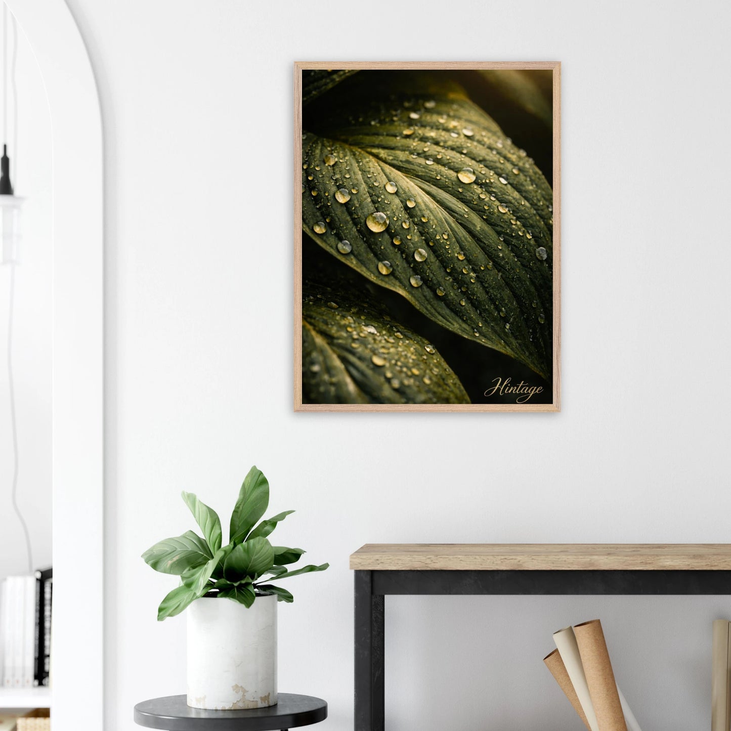 b426f439-f4bc-44b1-8ec2-85b142c4ae32