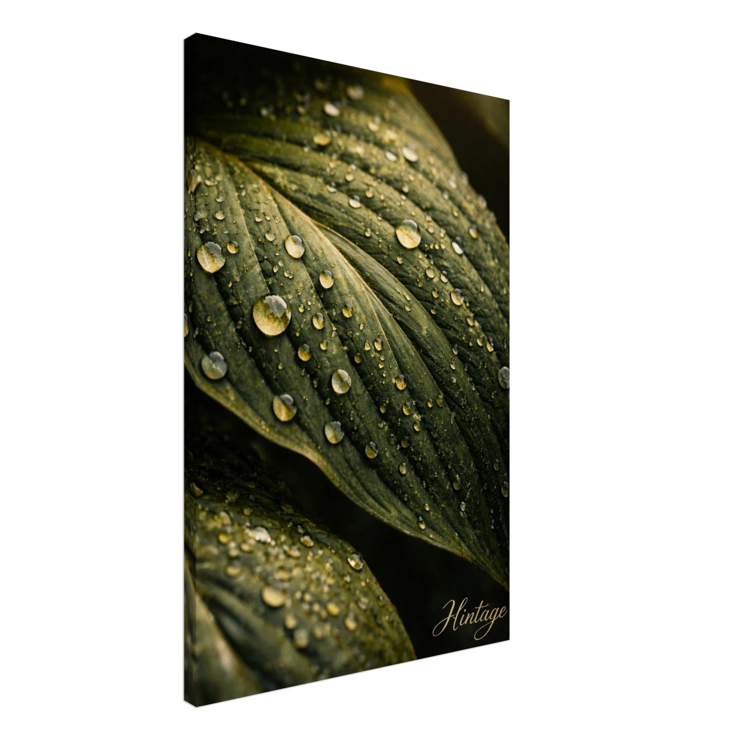 be9a2bc5-b7aa-4798-86bb-0753cf83cf71