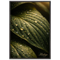 c01645b1-f990-4754-927c-d9ed648379e2