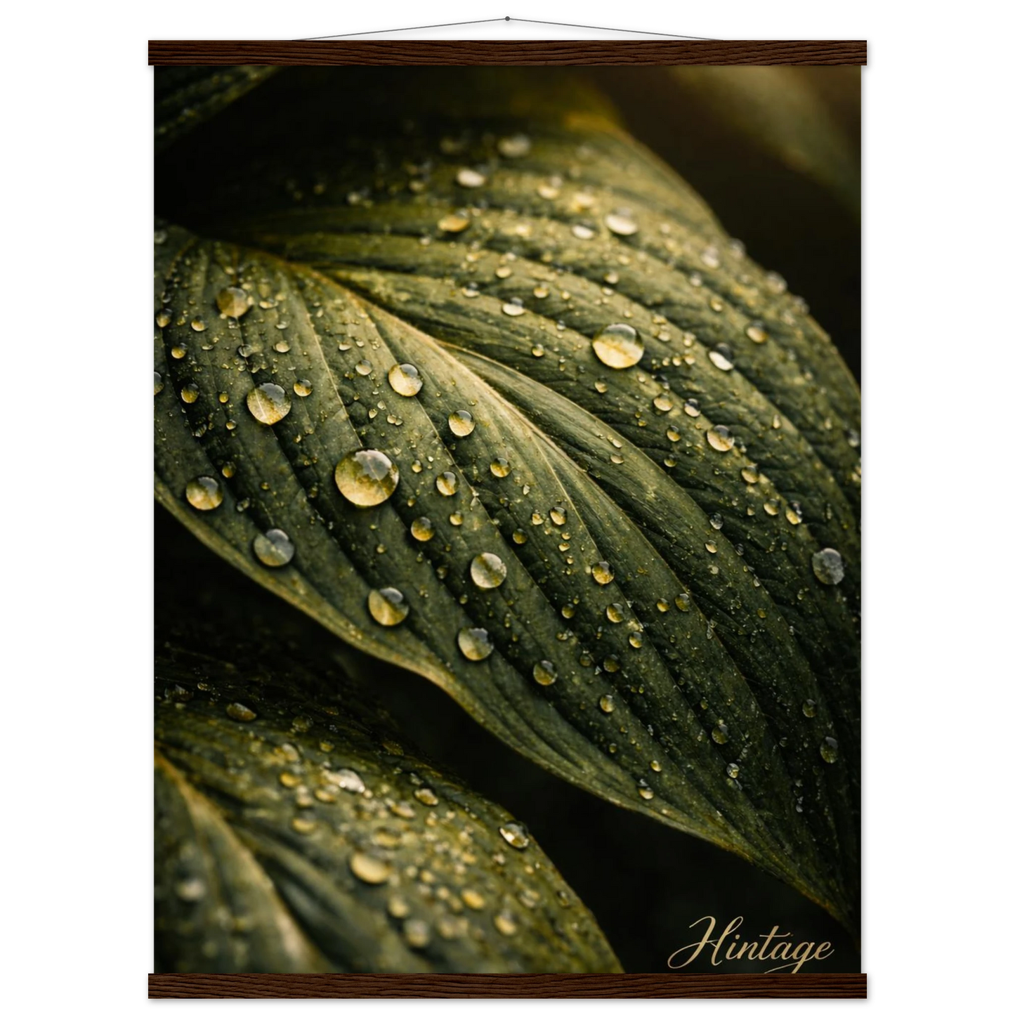 c1e657ab-947a-4f51-9e5c-562d4bebddc6