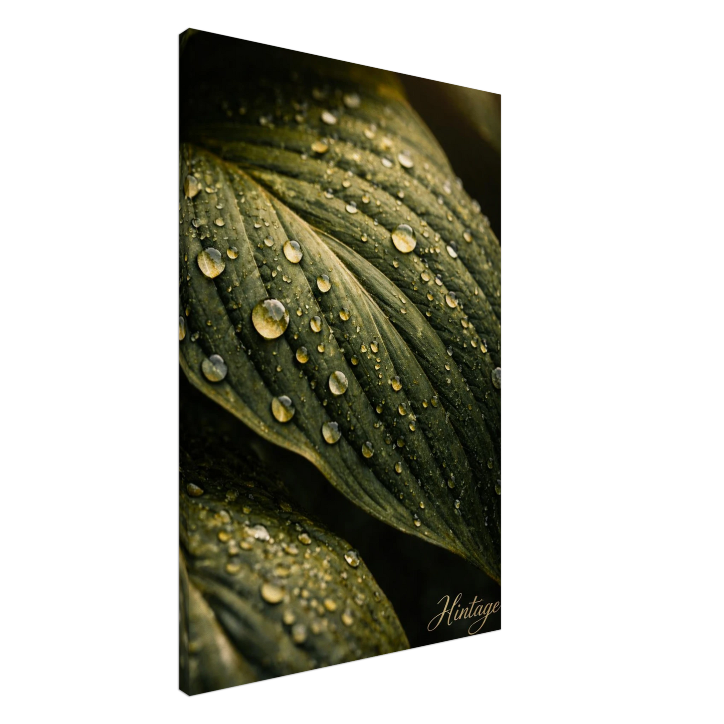 c204e6cc-61c2-4baa-a706-f45b41cd8327