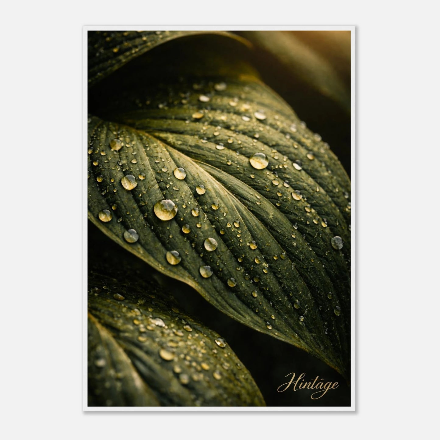 c3a26232-bd89-4748-9085-b01ad0ff3220