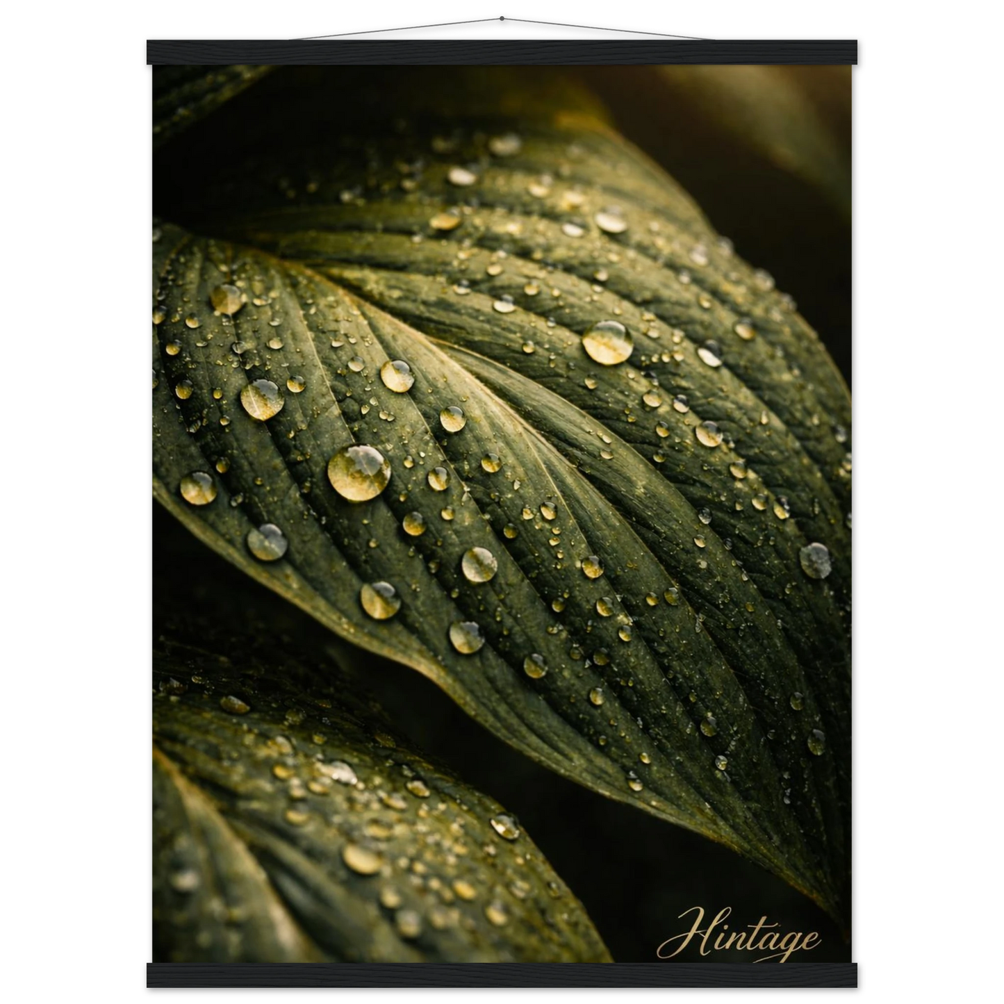 c7329786-616a-4c40-9ce2-c6bde7887b8a