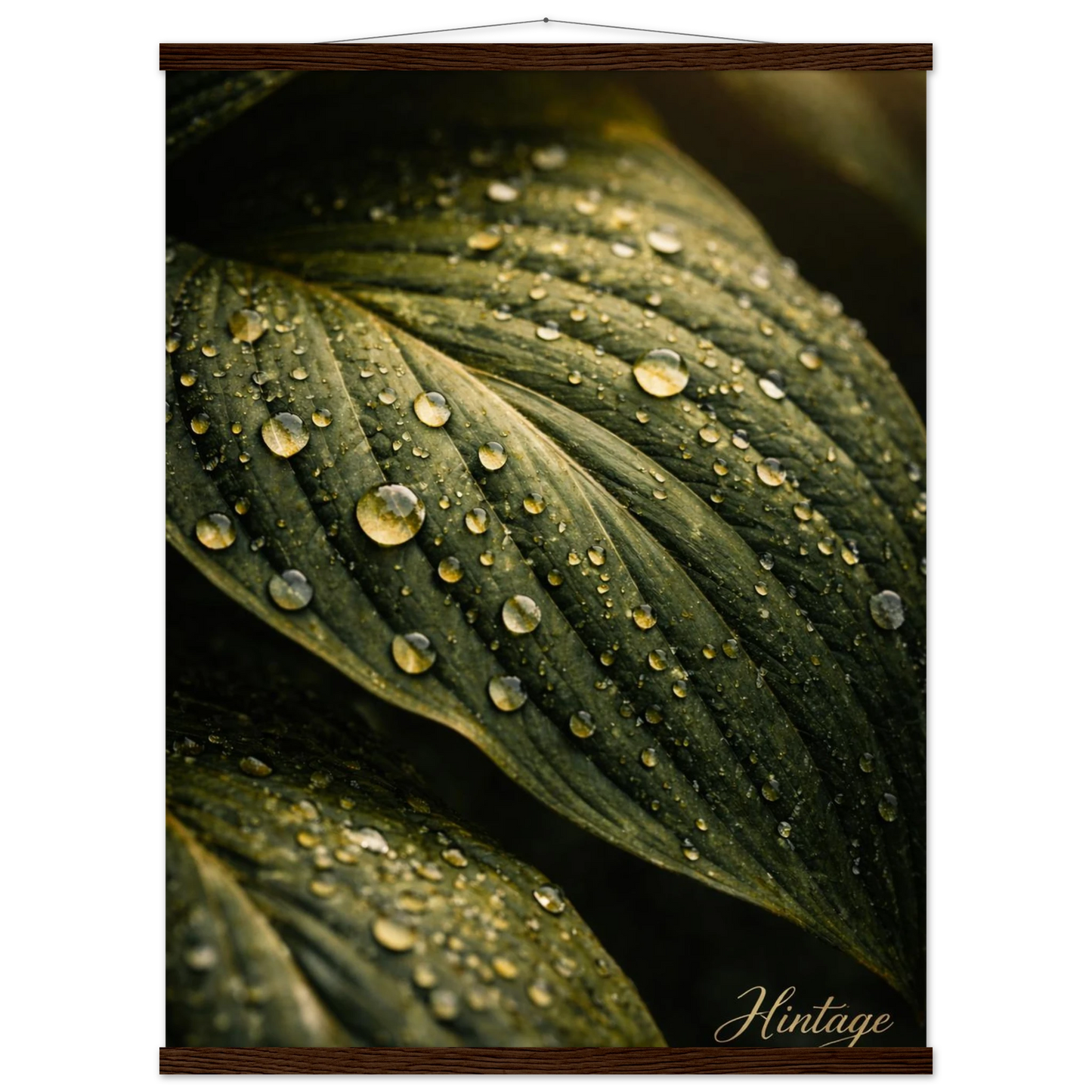 c904397f-d565-41d6-949e-d18b355c5d1e