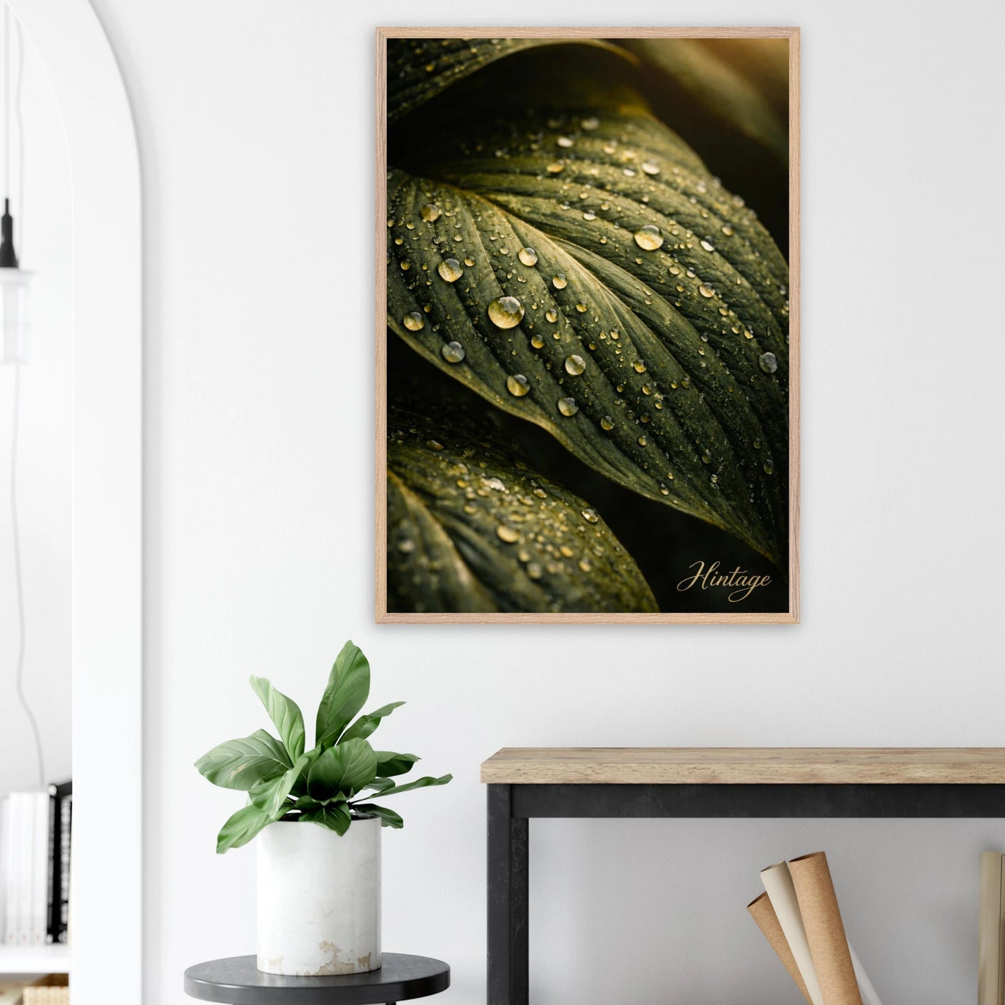 c9c584d5-e98f-44b8-a1ef-fee4e1ff4311