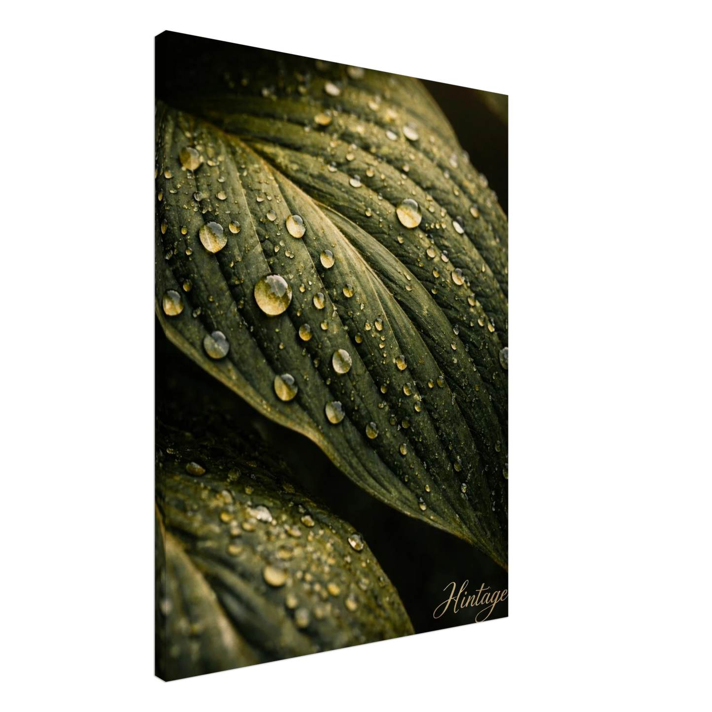 ce7e2021-2a65-4db7-8d57-8b0d761b3d23