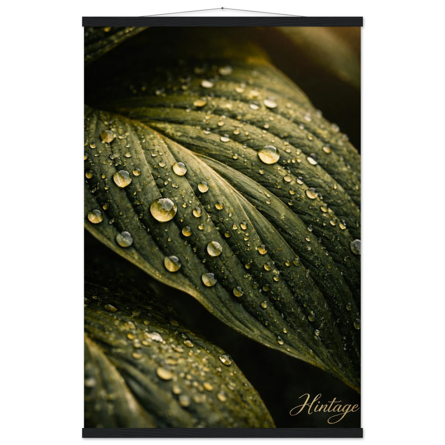 ce9c8607-4876-44cb-8c2b-c4777393ba20