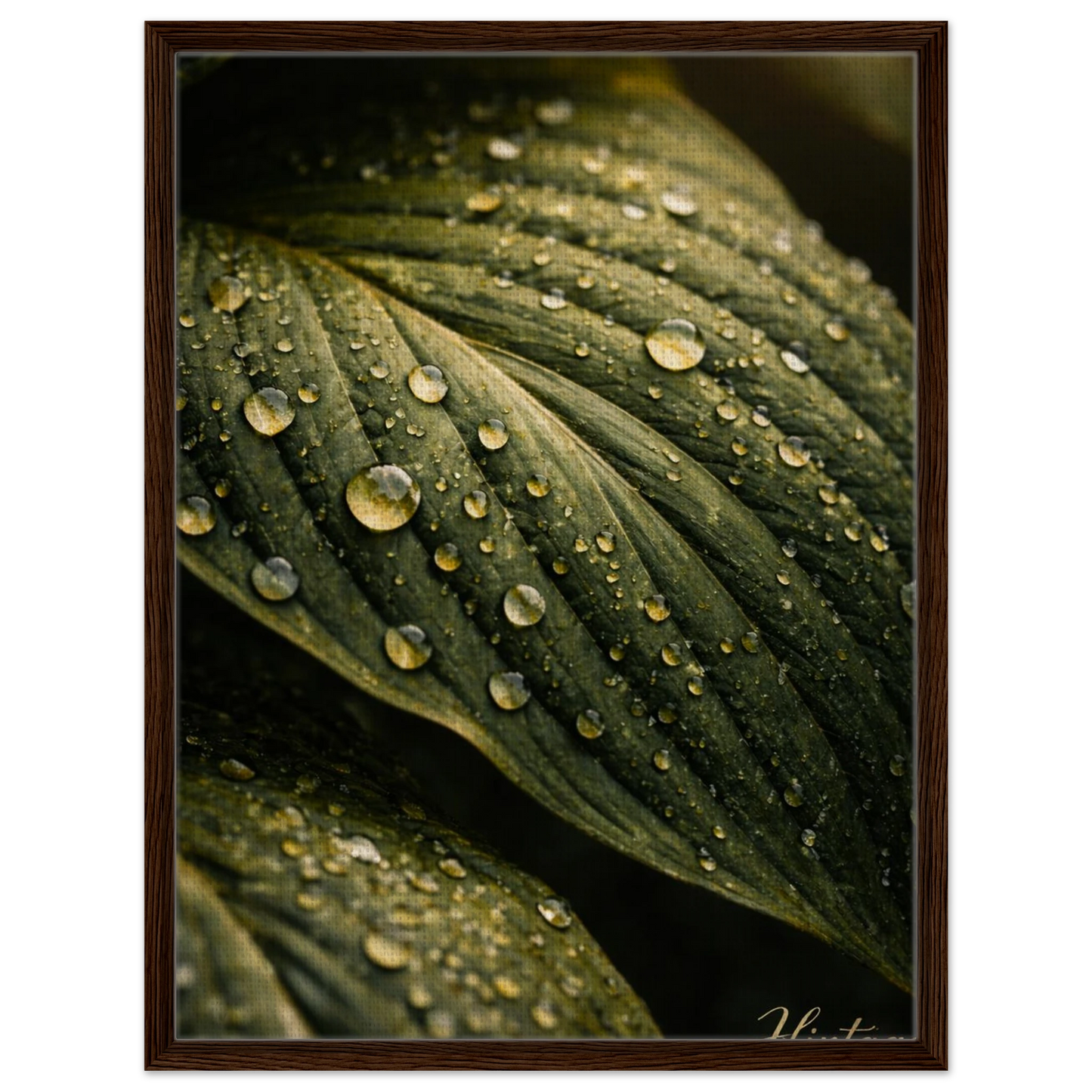 d544145b-fd23-45db-875b-9fc79ac5d6ac